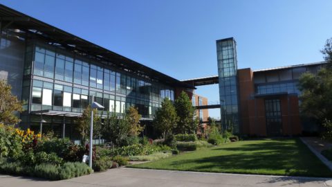 Mondavi Wine Institute